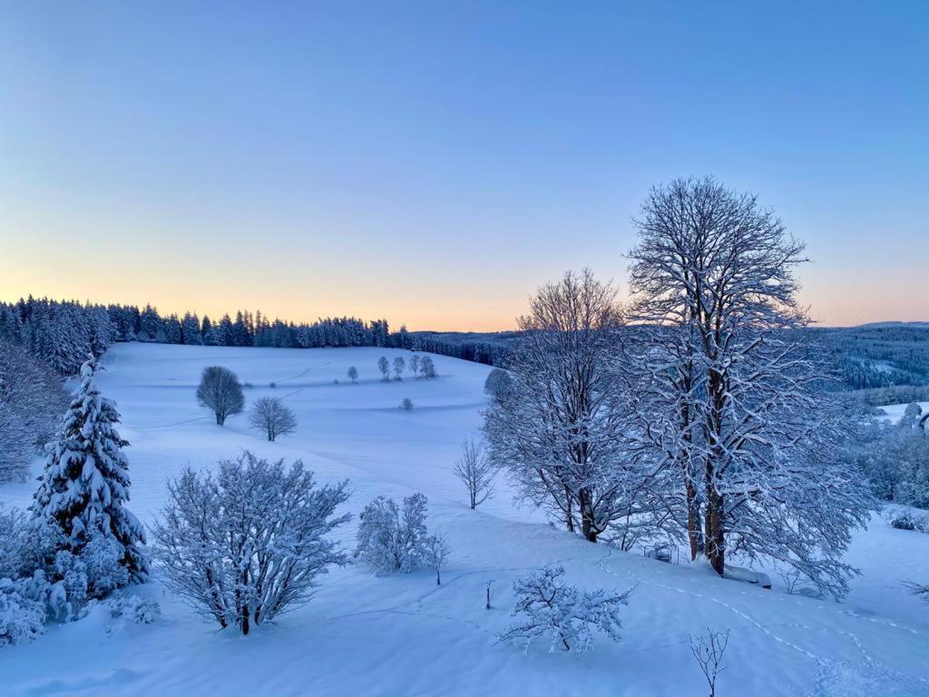 Gaestehaus Steiert Fewo Kuhbergblick Lenzkirch Esterno foto
