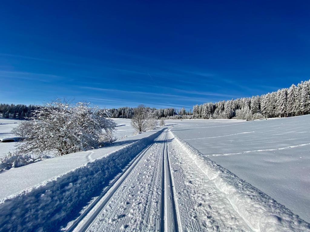 Gaestehaus Steiert Fewo Kuhbergblick Lenzkirch Esterno foto