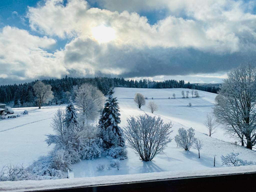 Gaestehaus Steiert Fewo Kuhbergblick Lenzkirch Esterno foto