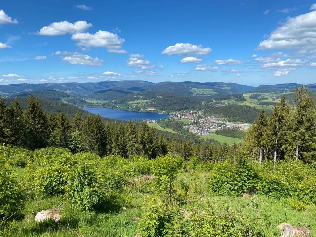 Gaestehaus Steiert Fewo Kuhbergblick Lenzkirch Esterno foto